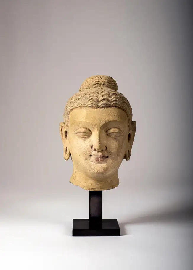 Tête de Bouddha Sakyamuni en stuc - PAKISTAN, ancienne région du Gandhara - IV-Ve siècle