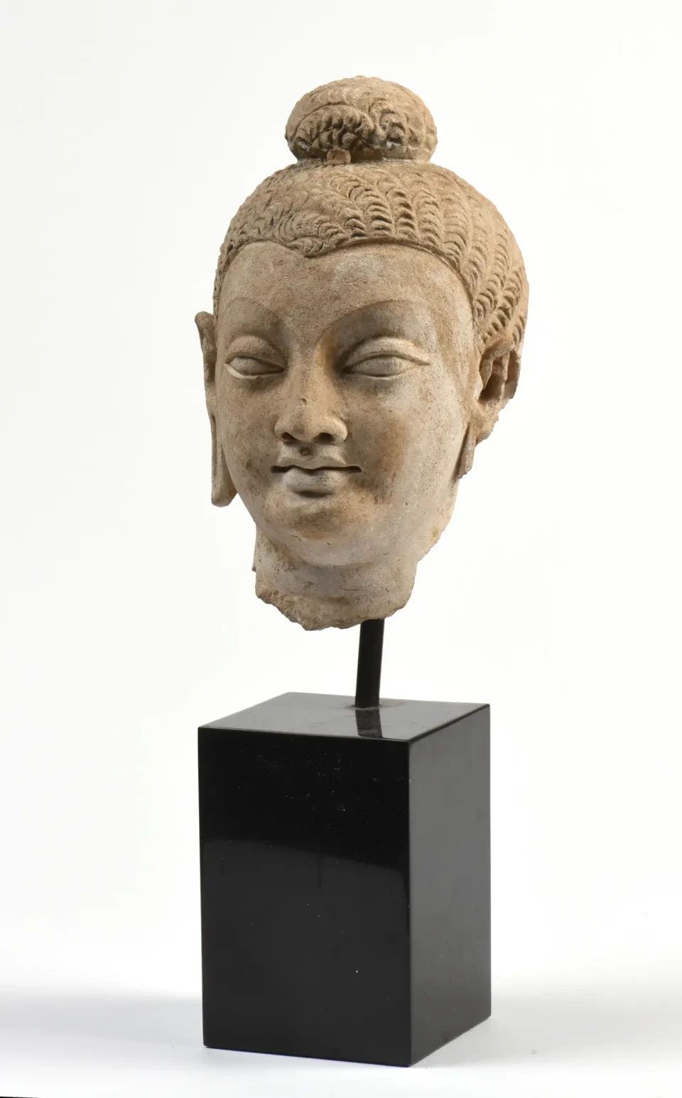 Tête de Bodhisattva en stuc - PAKISTAN, ancienne région du Gandhara - IVe-Ve siècle