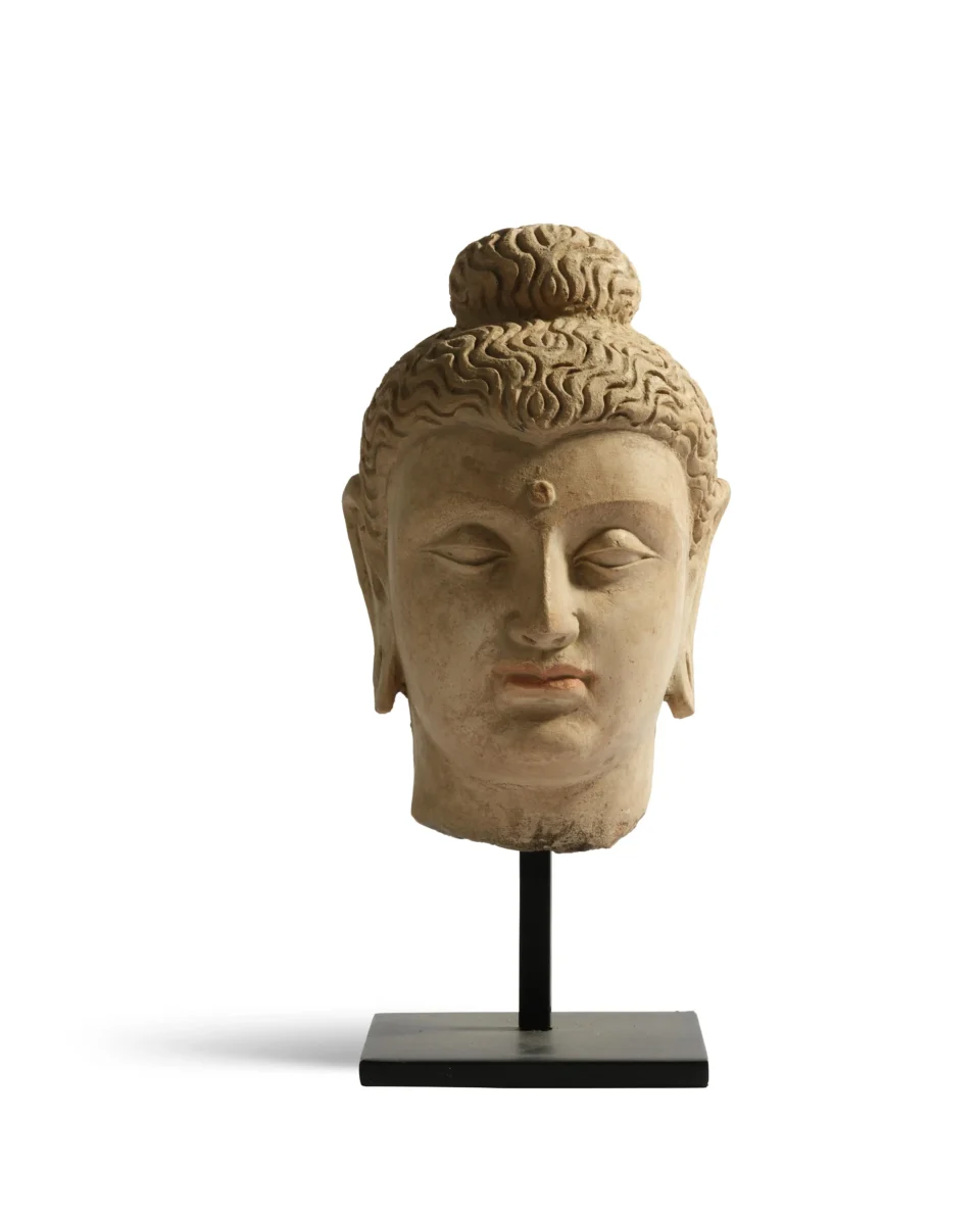 Tête de Bouddha en stuc - PAKISTAN, ancienne région du Gandhara - II-IIIe siècle