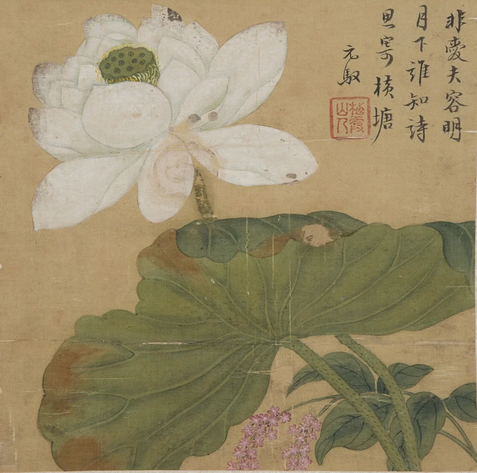 Feuille d’album peinte en polychromie sur soie - CHINE - Dynastie Qing (1644-1912)